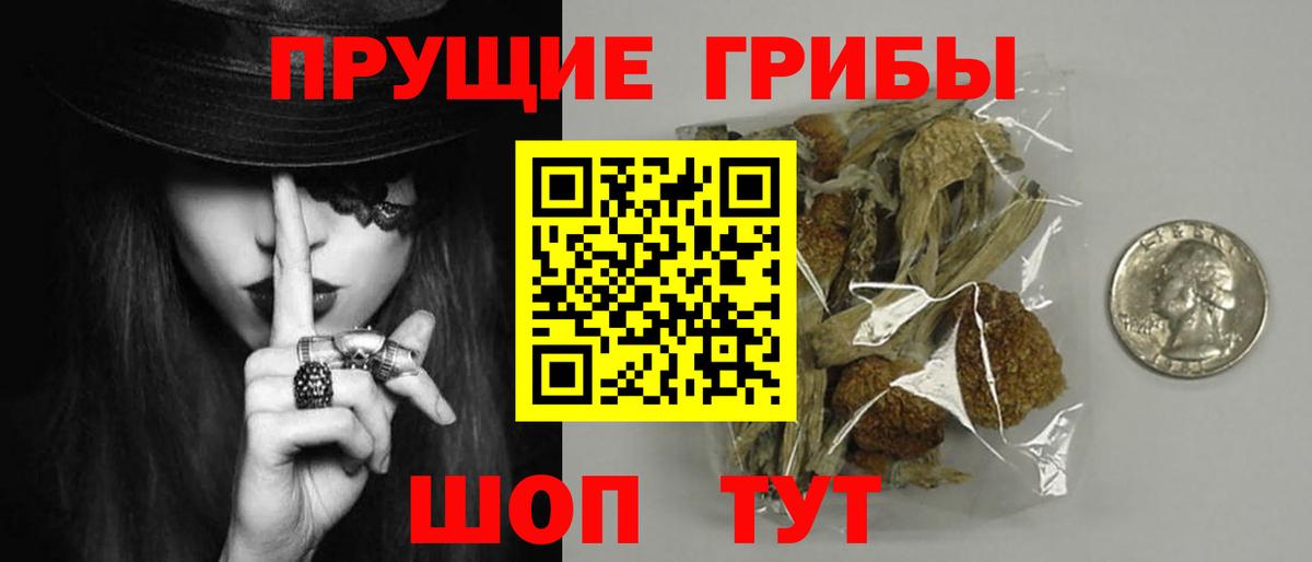 Псилоцибиновые грибы прущие грибы  Вход с VPN  Балашов  Галлюциногенные грибы Cubensis 